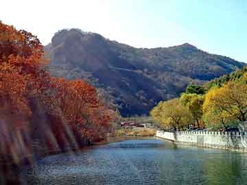 新澳门二四六天天彩，范冰冰苹果